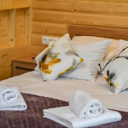 Pogon Zd12 Krynica Zdroj